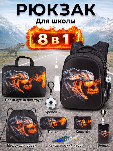 Рюкзак SkyName set-R1-098+ мешок для обуви, папка, пенал, кошелек, бейдж, брелок мячик