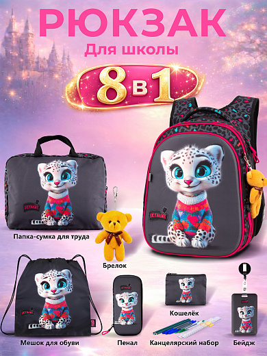 Рюкзак SkyName set-R1-079 + мешок для обуви, папка, пенал, кошелек, бейдж,брелок мишка