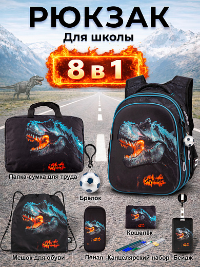 Рюкзак SkyName set-R1-097+ мешок для обуви, папка, пенал, кошелек, бейдж, брелок мячик
