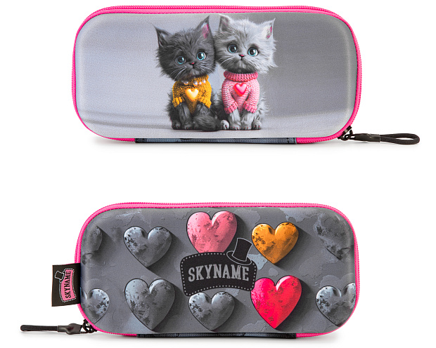 Пенал жесткий SkyName P-488 Пенал жесткий SkyName P-488